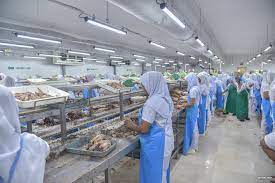 Felivaru tuna processing factory tour